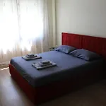 Lavandula * Tirana