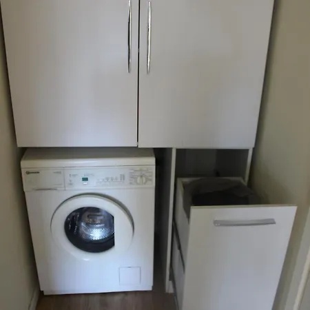 Lavandula * 地拉那